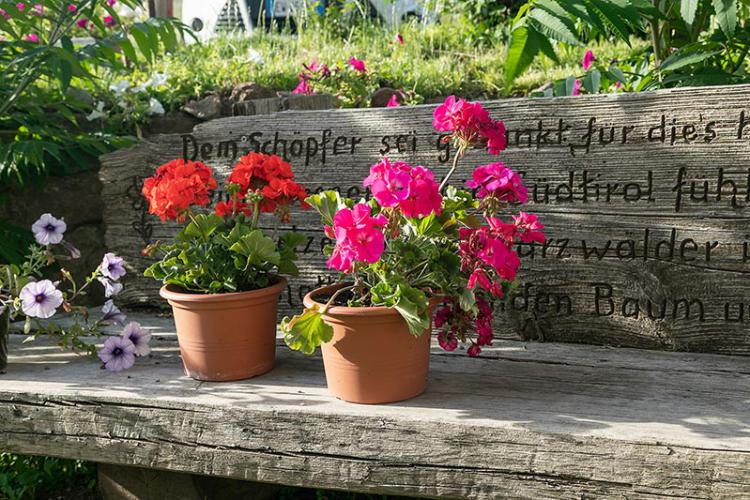 Urige Holzbank im Garten