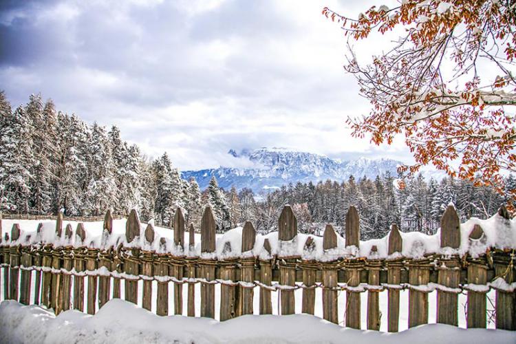 Freud Promenade im Winter