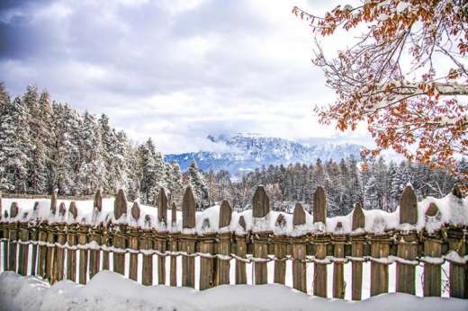 Il sentiero Freud in inverno