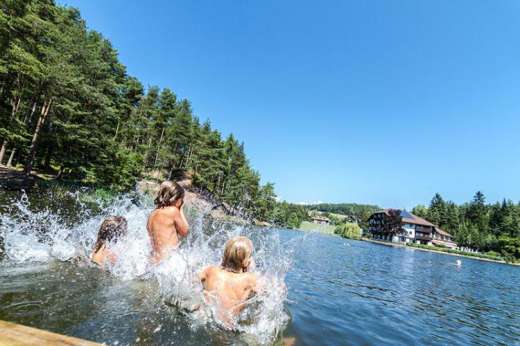 Sommer am Ritten - Wolfsgrubener See