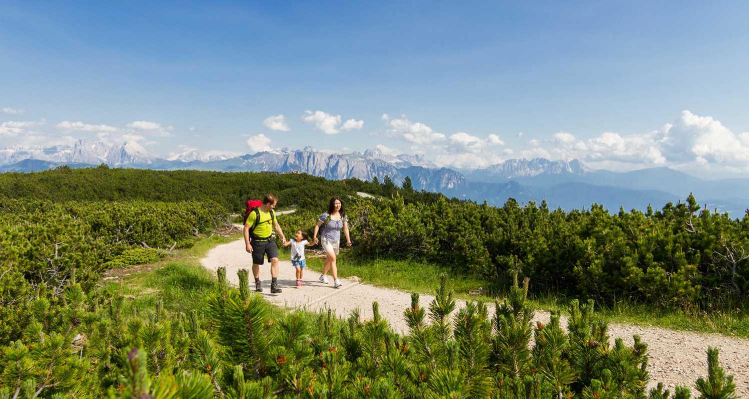 Panoramaweg am Rittner Horn